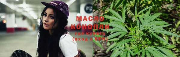 соль ск Новозыбков