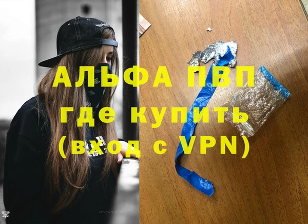 спиды Новодвинск