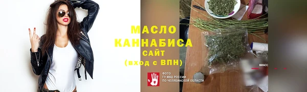 соль ск Новозыбков