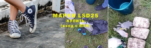 спиды Новодвинск