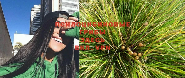 соль ск Новозыбков